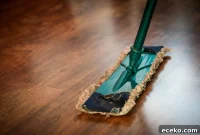 Why Investing in a Cleaning Franchise Is a Smart Move