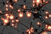 Smart Ways to Boost and Protect Your Brain Health