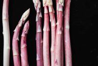 Pink Asparagus: Discover Rare, Stunning Spears