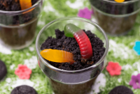 Gluten-Free Dirt Cups Recipe for Earth Day and Everyday Fun