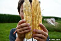 Buy Local: Where to Buy Produce Grown on Our Farm