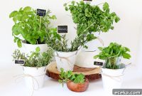 My Herb Garden: Grow, Use, and Enjoy Fresh Herbs at Home