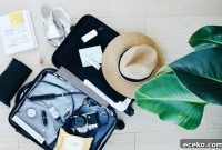 Top Travel Snacks I Always Pack for Flights and Road Trips
