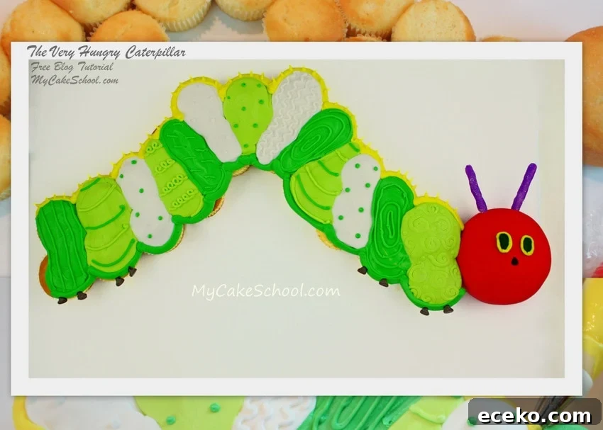 featured 6095