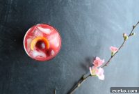 Blood Orange Whiskey Sour Recipe – Refreshing Citrus Cocktail Guide