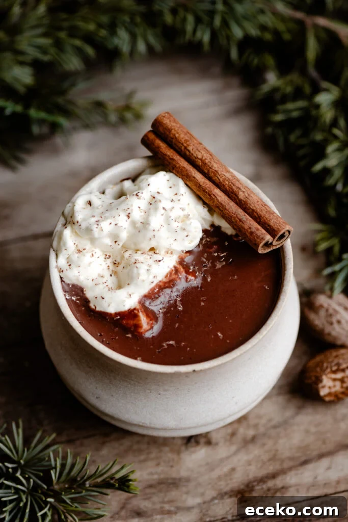 Mug of hot chocolate topped with whipped cream and a cinnamon stick.