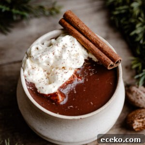 Mug of hot chocolate topped with whipped cream and a cinnamon stick.