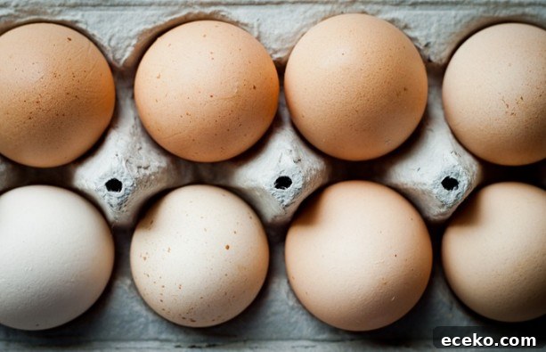 farm eggs