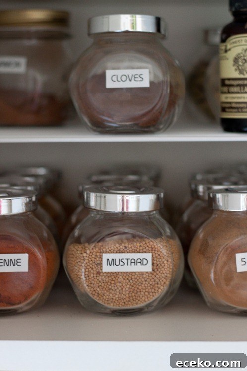 spice organization
