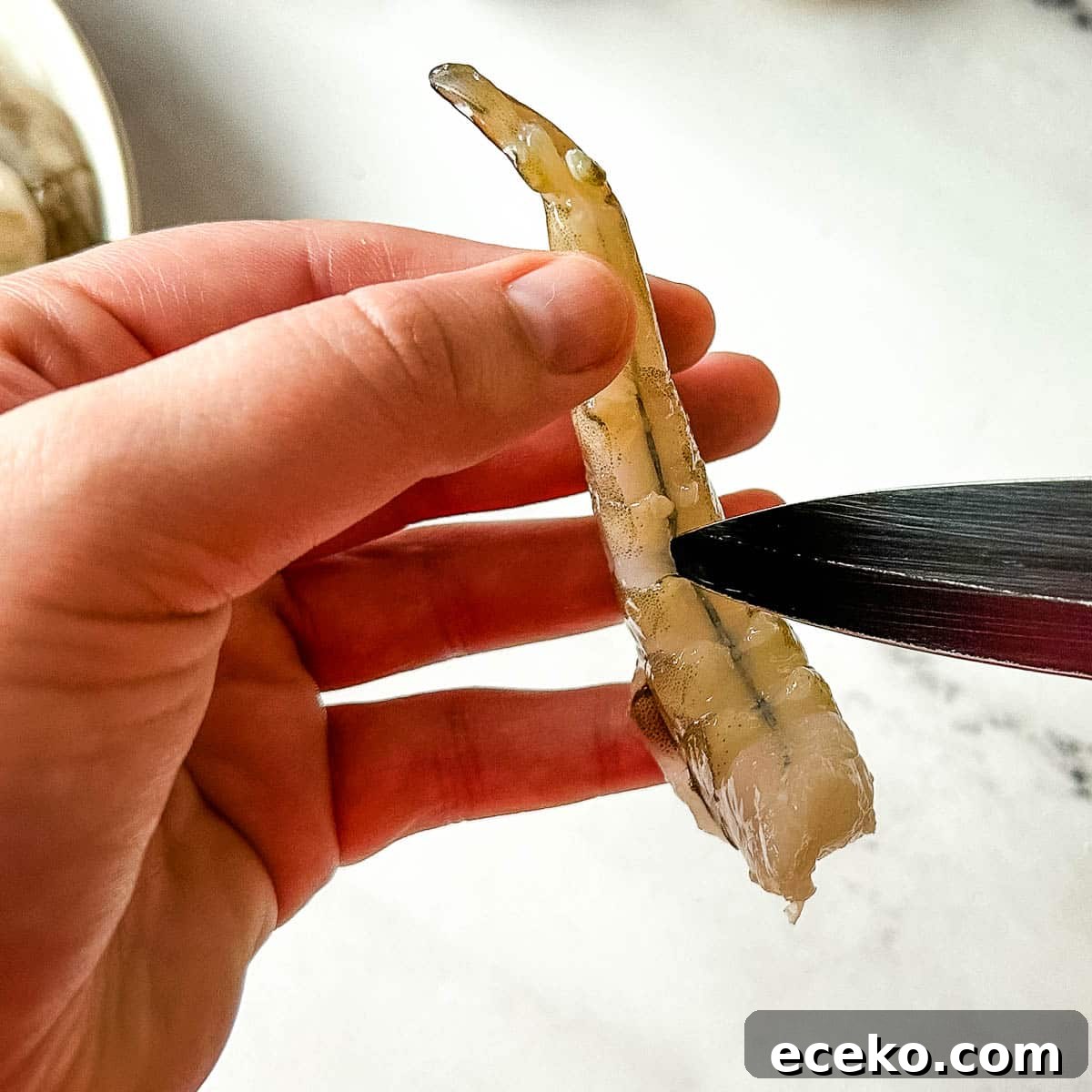 the interior of a shrimp is pierced with a black paring knife.
