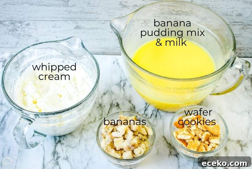 ingredients labeled for banana pudding popsicles