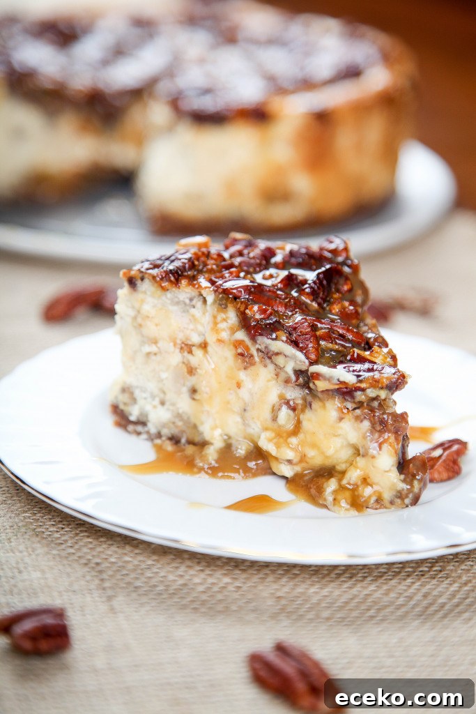 Pecan Pie Cheesecake Recipe: Creamy Layered Pecan Dessert 2 a slice of pecan pie cheesecake on a white plate.