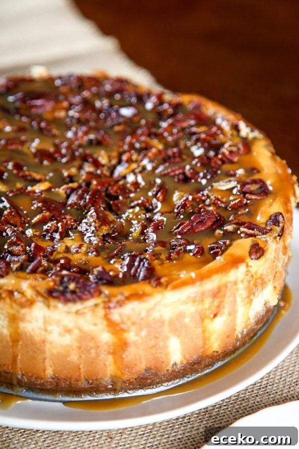 Pecan Pie Cheesecake Recipe: Creamy Layered Pecan Dessert 3 a cheesecake with a graham cracker crust and a pecan pie topping with a caramel drizzle.