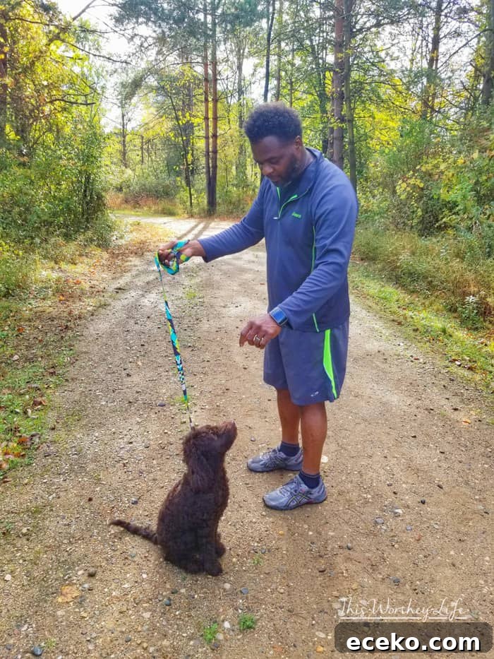 Road Trip Bucket List for Dogs