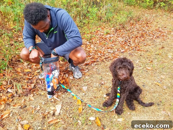 Road Trip Bucket List for Dogs