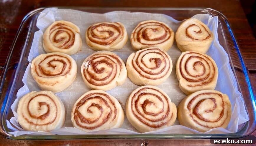 After second rising, ready for the oven.