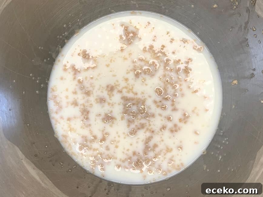 Warm milk and yeast in a stainless steel bowl.