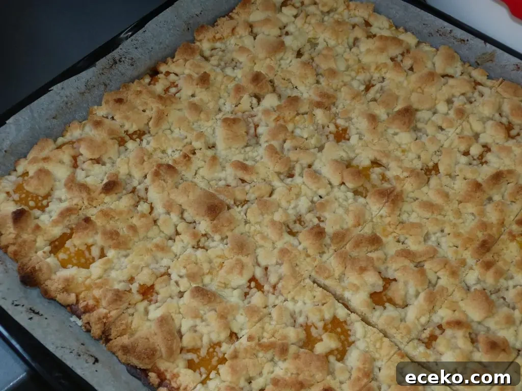Top Fall Recipes to Cozy Up Your Dinner Table 6 img 12309 5