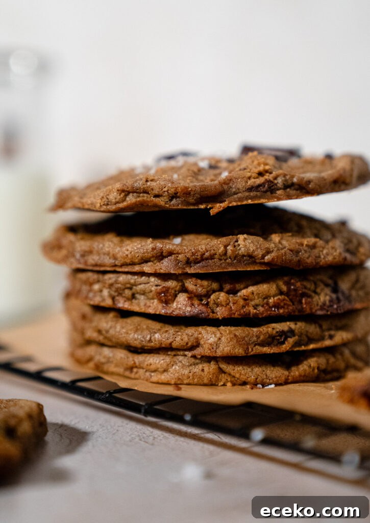 perfect chocolate chip cookies 