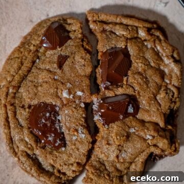 perfect chocolate chip cookies