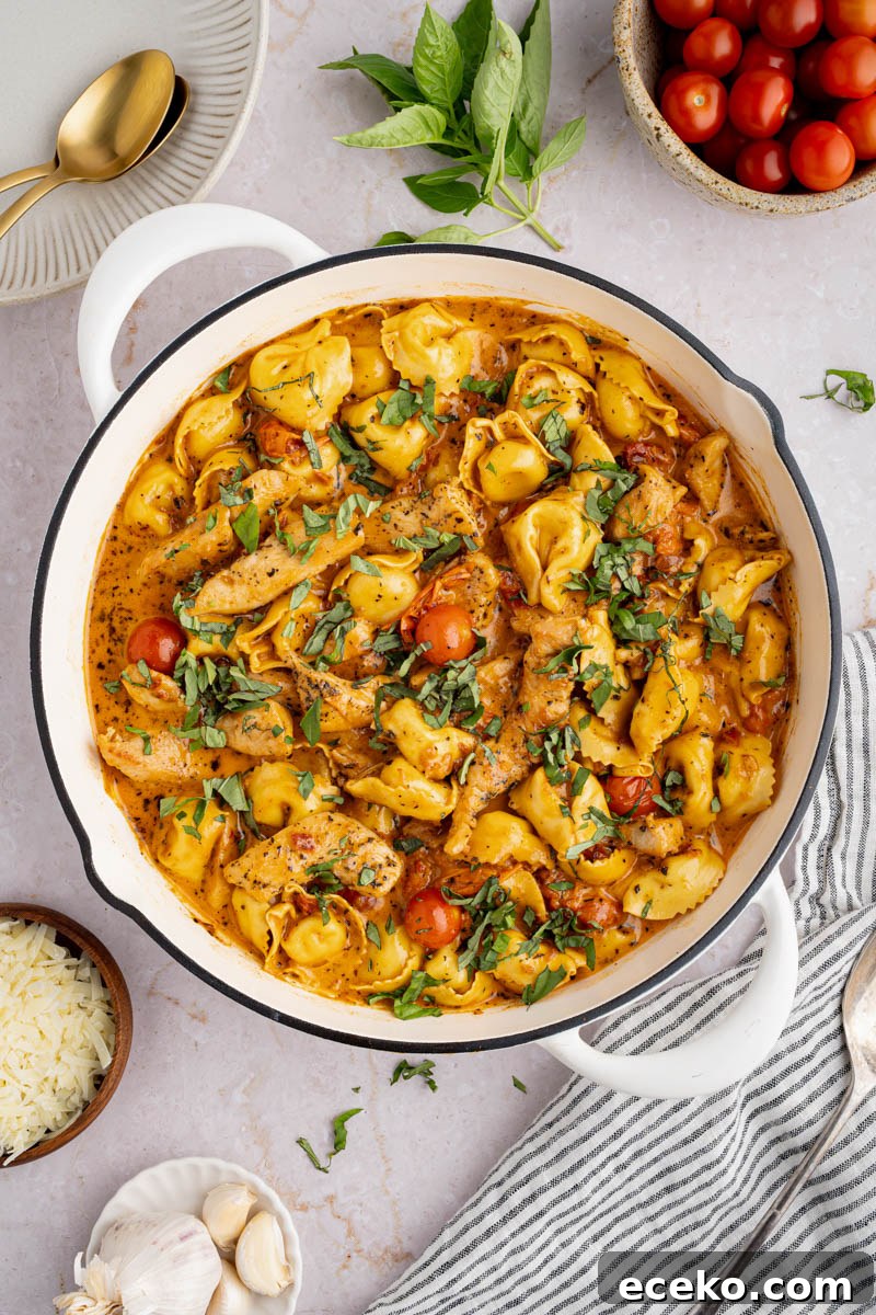 Creamy Chicken Tortellini Recipe with Garlic Parmesan Sauce 5 creamy chicken tortellini in a pan before serving. Fresh basil is garnished on top.
