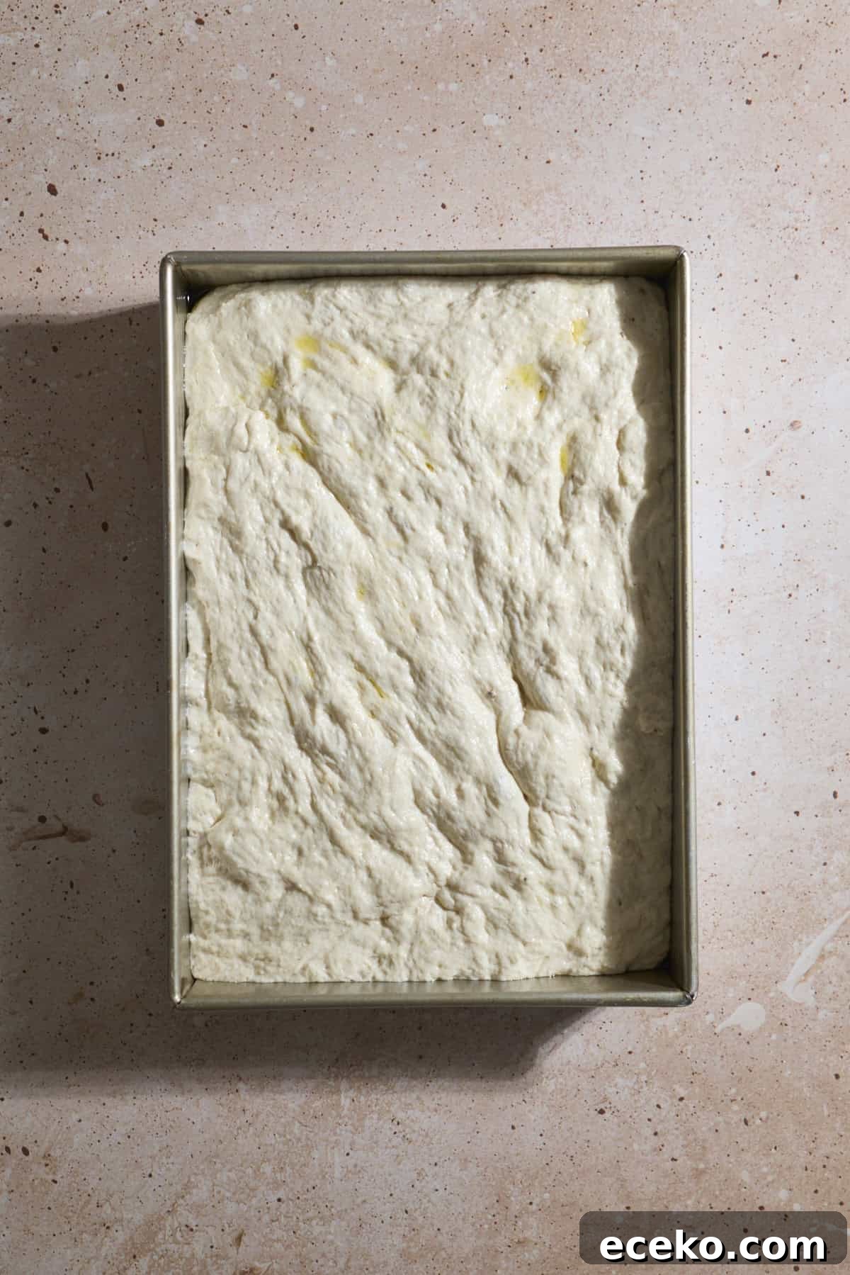 Dough after the second rise in the baking pan.