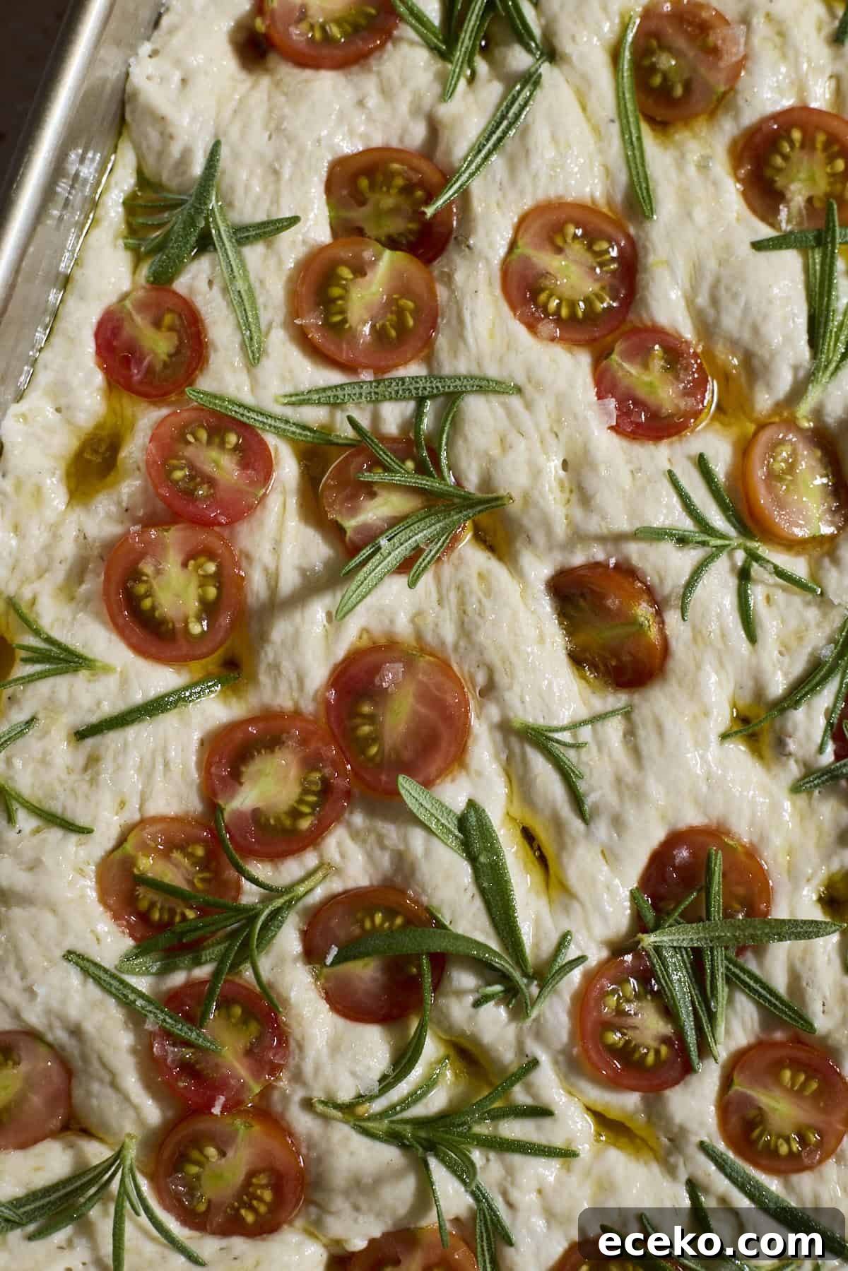 Dough topped with halved cherry tomatoes and rosemary sprigs.
