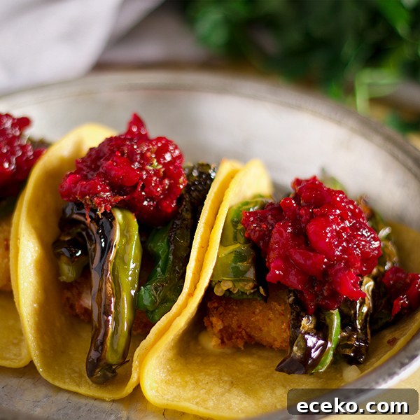 Three shishito pepper tacos with fried cheese and chili cranberry sauce on a plate.