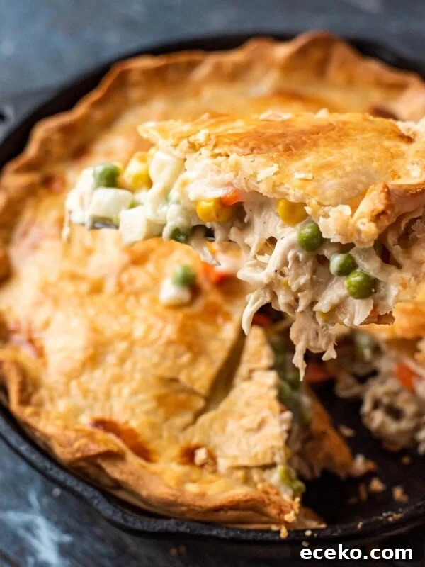 Skillet Shepherd’s Pie Recipe – One-Pan Comfort Dinner 4 img 13549 3