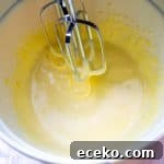 Authentic Italian Tiramisu Recipe: Classic Step-by-Step Guide 16 Egg yolks ribbon