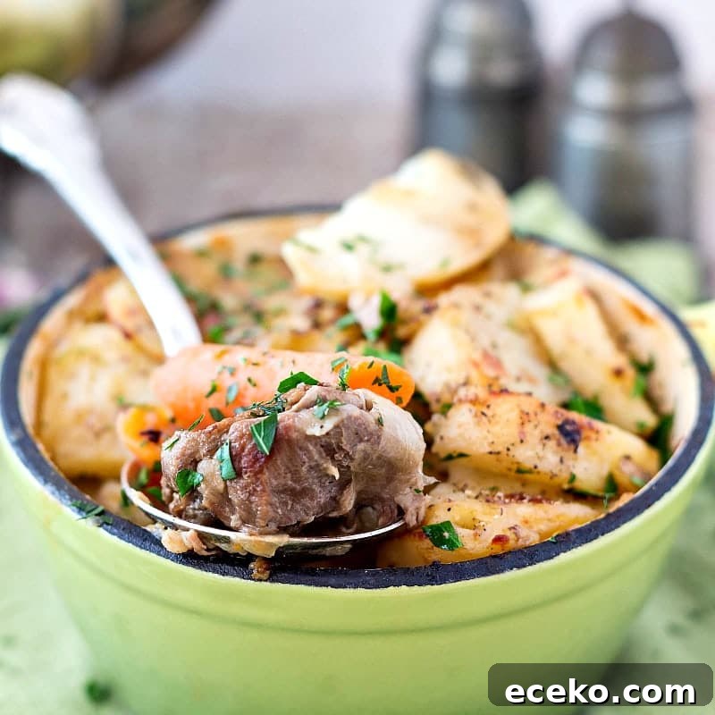 Ballymaloe Irish Stew Recipe for Two or Four Servings 3 An individual serving of Ballymaloe Irish Stew with a spoonful ready for a bite.