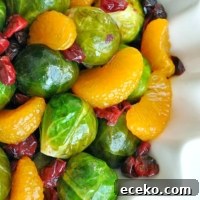 Cranberry Clementine Brussels Sprouts with Blood Orange Brown Sugar Glaze :: the perfect side dish for the holidays!
