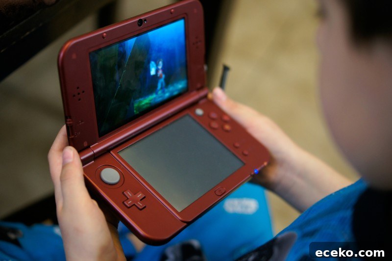 Yo-kai Watch DS Game: A Fun Guide for Kids and Parents 3 Shane playing Yo-Kai Watch