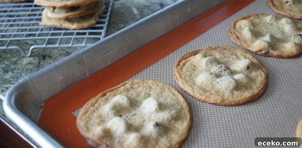 Chewy Malted Milk Chocolate Chip Cookie Recipe 2 Malted Milk Chocolate Chip Cookies