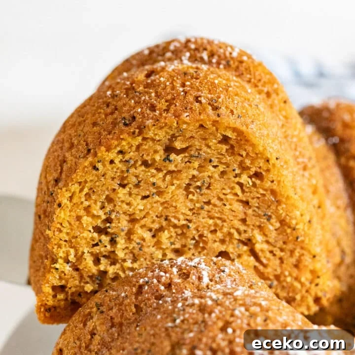 A slice of poppyseed cake being lifted from the rest of the cake.