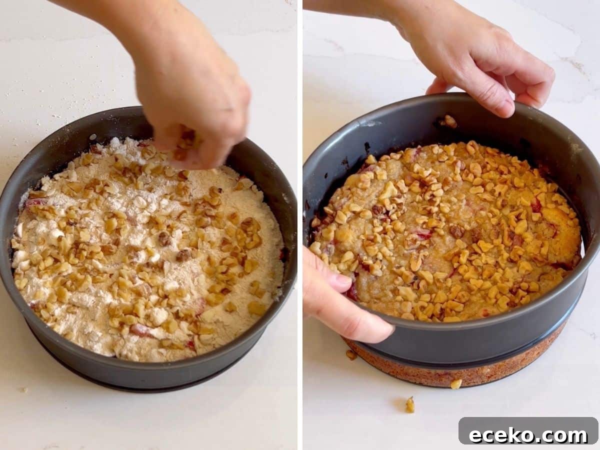 Strawberry Shortcake Crumb Cake Recipe — Moist Summer Dessert 8 Nuts and crumb topping being sprinkled onto the cake and then the spring form pan being removed from the baked cake.