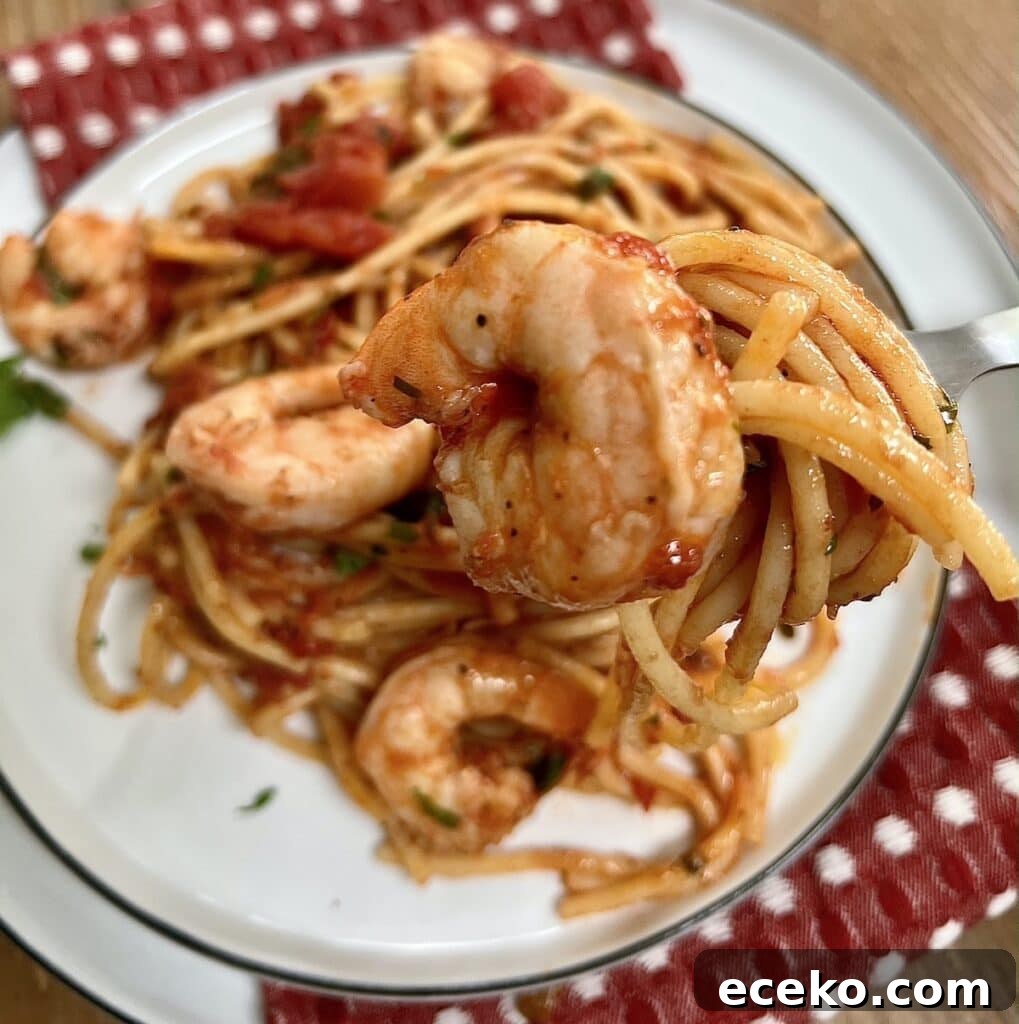 Spicy Shrimp Arrabbiata Pasta with Garlic Tomato Sauce 8 Close up of spicy shrimp marinara with spaghetti on fork.