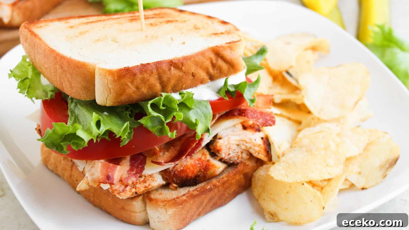A grilled chicken sandwich with lettuce, tomato, bacon, and mayonnaise on toasted bread, served with potato chips on a white plate.