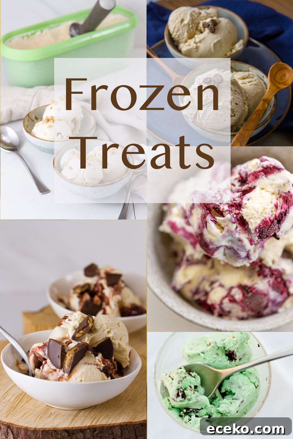 a collage of frozen treat images with the title in the middle.