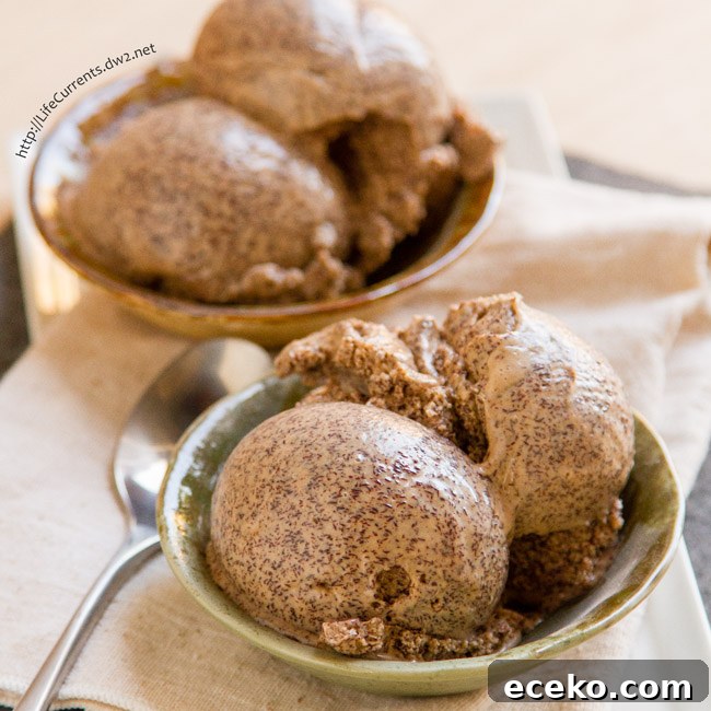 Mocha Frozen Yogurt in celebration of National Soy Foods Month is vegan, dairy free, healthy, and super yummy!