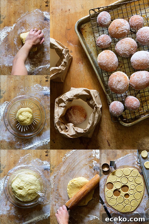 How to Make Homemade Jelly-Filled Doughnuts from Scratch 5 Jelly-Filled Doughnuts | Step 3 of 3 via Bakers Royale