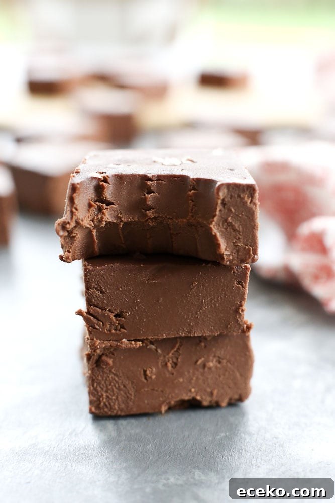 Easy Chocolate Fudge Recipe that is vegan