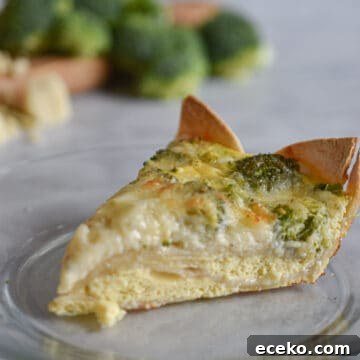 Slice of broccoli cheddar with tortilla crust