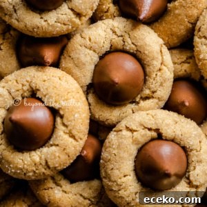 Classic Peanut Butter Blossoms Cookie Recipe 9 Overhead closeup image of peanut butter blossoms.