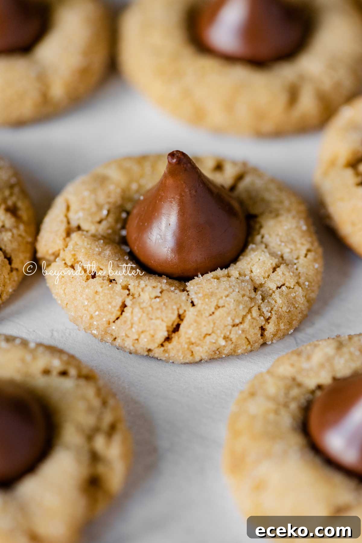 Classic Peanut Butter Blossoms Cookie Recipe 5 Angled closeup image of peanut butter blossoms on parchment paper lined baking sheet | All Images © Beyond the Butter™