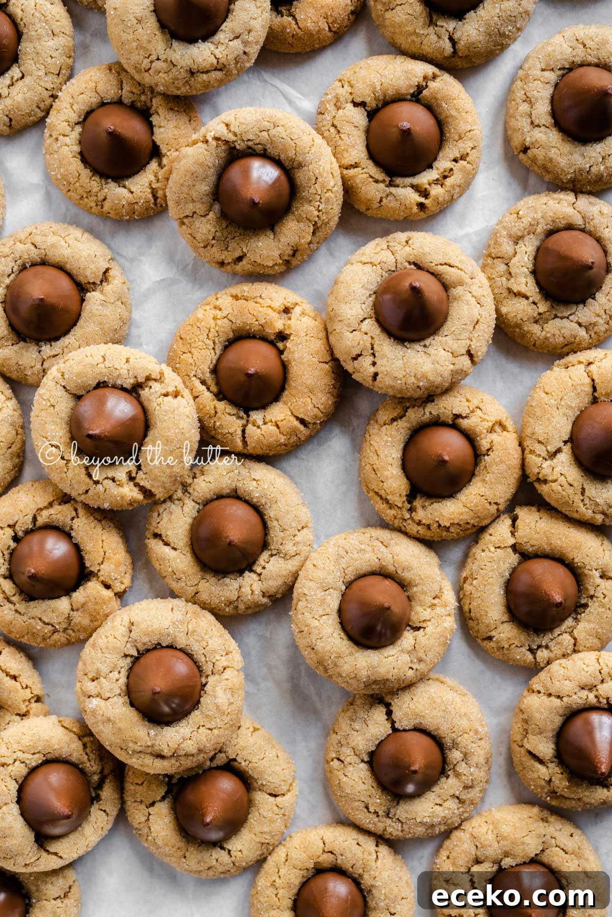 Classic Peanut Butter Blossoms Cookie Recipe 8 Classic peanut butter blossoms on a parchment paper lined baking sheet | Beyond the Butter®