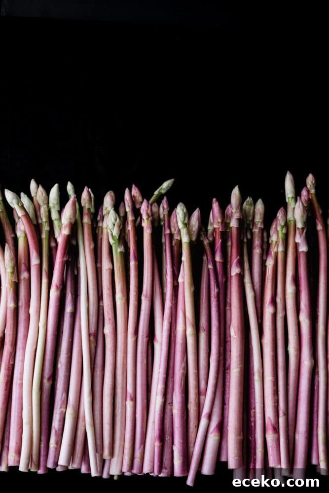 Pink Asparagus: Discover Rare, Stunning Spears 3 Dense row of pink asparagus spears standing upright against a dark background, wall-to-wall color, light green-tipped