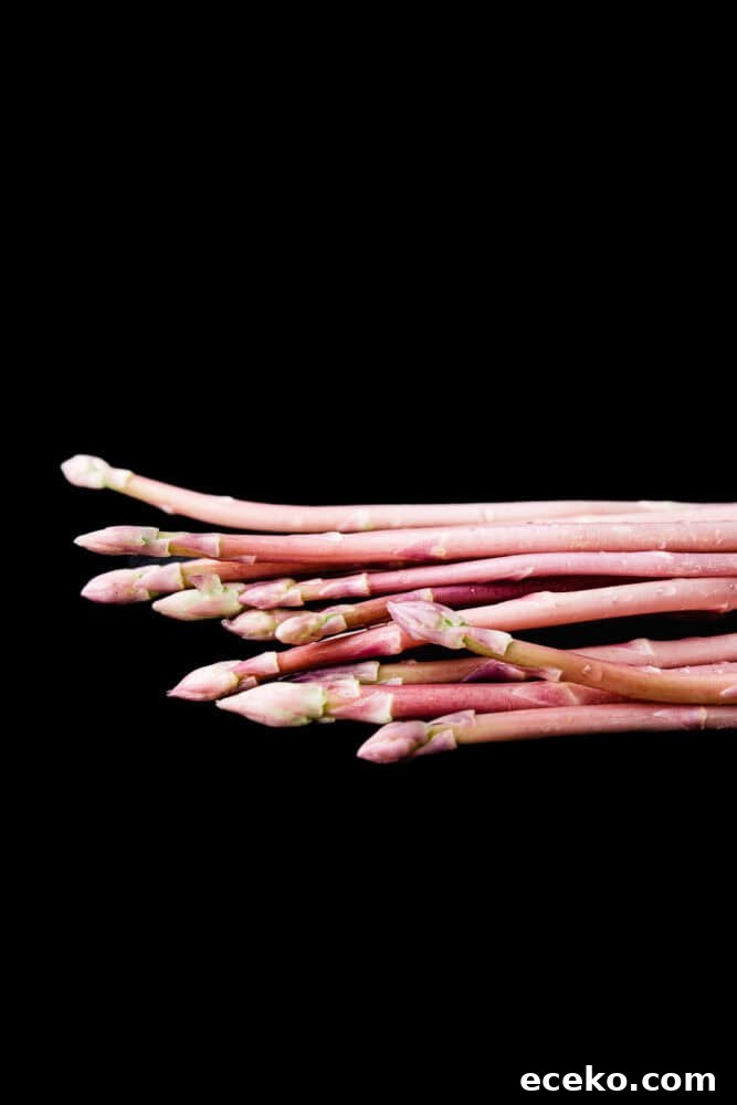 Pink Asparagus: Discover Rare, Stunning Spears 4 Pink asparagus spears fanned horizontally across a black background, tips pointing right, close crop showing texture and color
