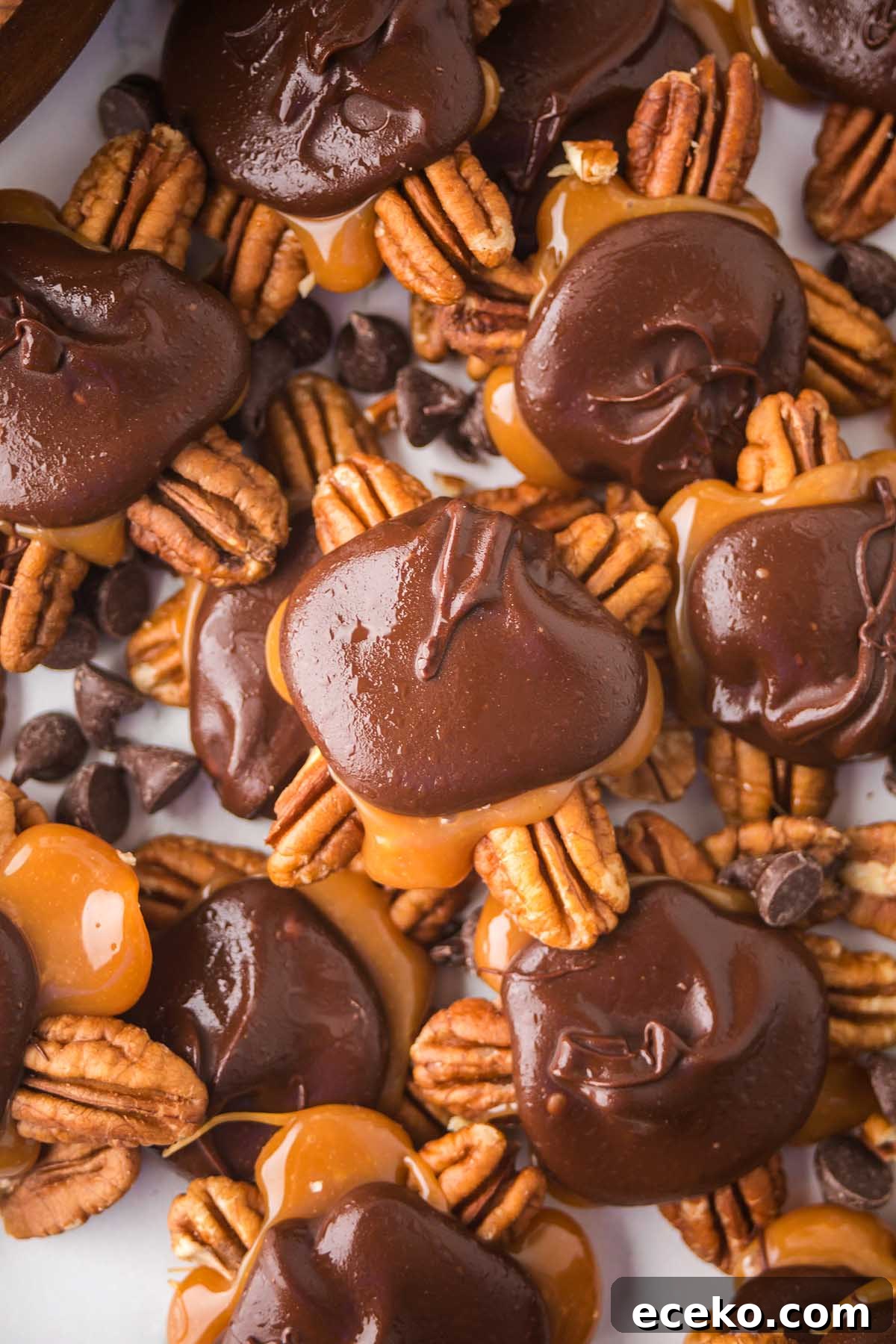 How to Make Classic Homemade Turtle Candies at Home 7 A close-up of copycat homemade turtles featuring rich chocolate and caramel treats adorned with pecans, beautifully arranged on a surface.