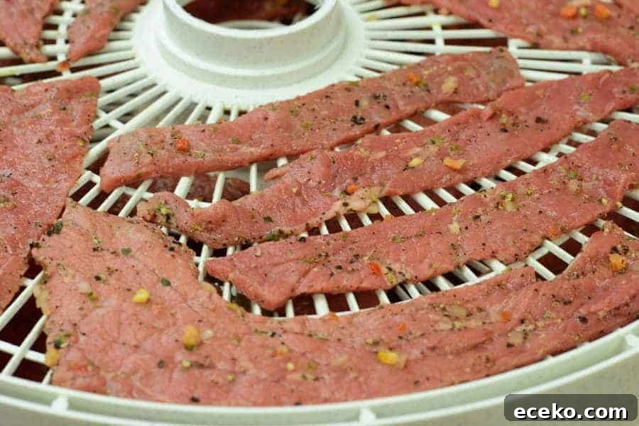 Garden Herb Beef Jerky Recipe 4 Sliced Beef Top Round